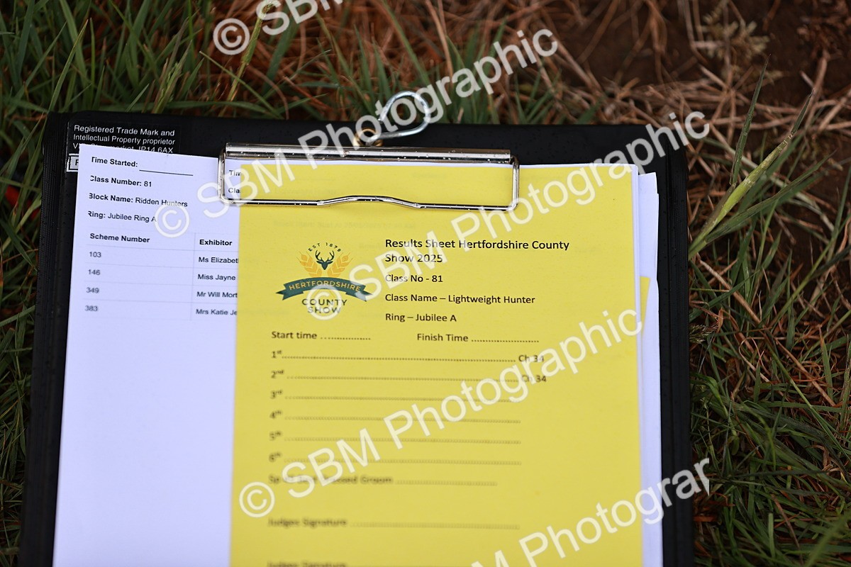 SBM_10733 - Class 81-84 - RIHS Ridden hunters Inc Ladies Hunter