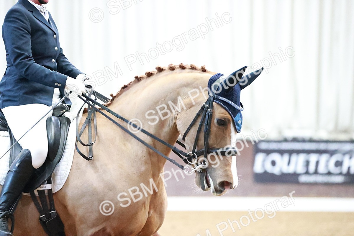 SBM_000465 - Class 7 - Medium 3