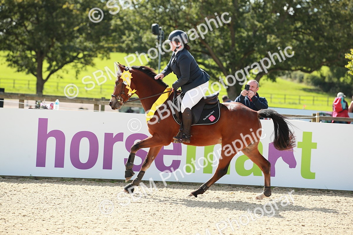 SBM_25460 - J28 Senior 60cm Championship