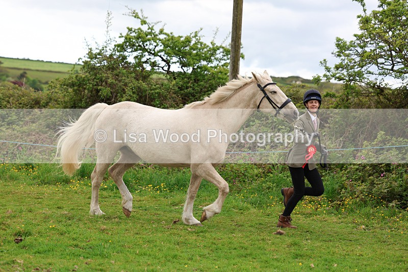 3E7A0760 - In Hand Championship
