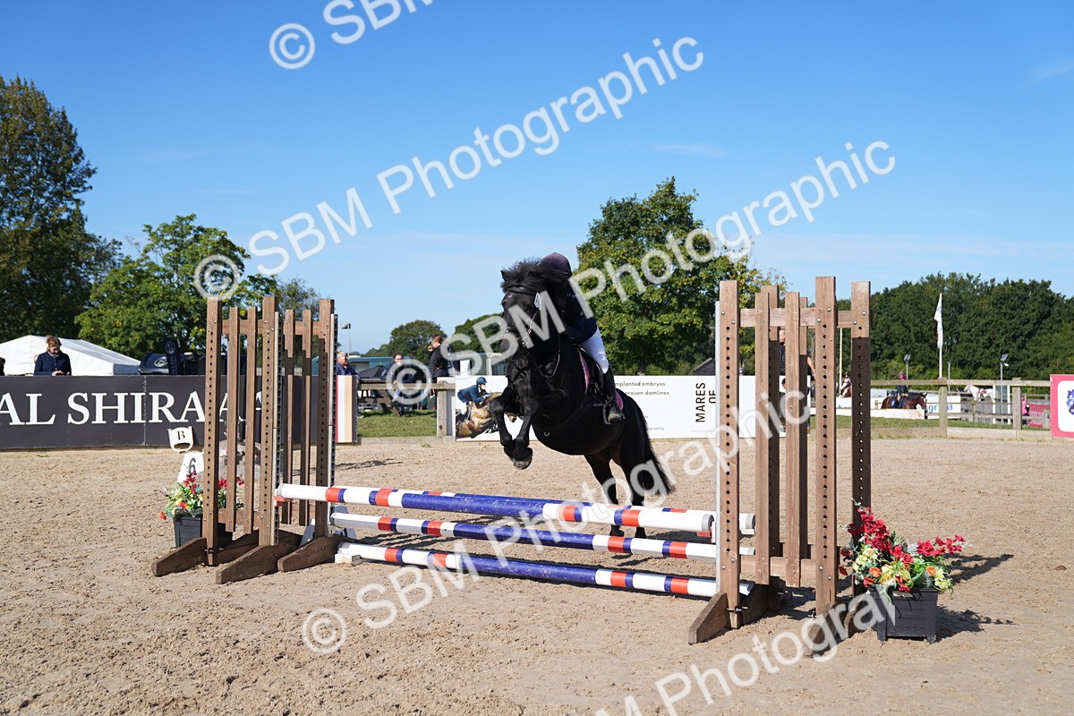 SBM_17643 - J58 - Clear Round 60cm