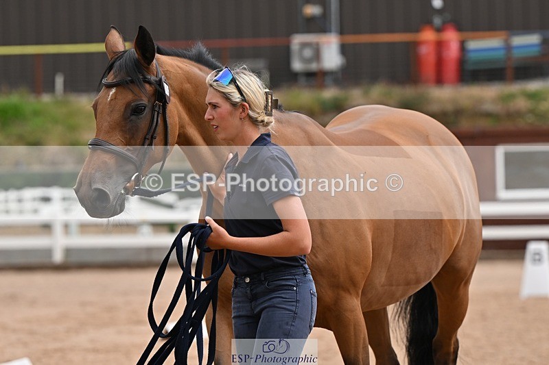 250716-145226-01465 - Trot Up 2.30 to 3.30