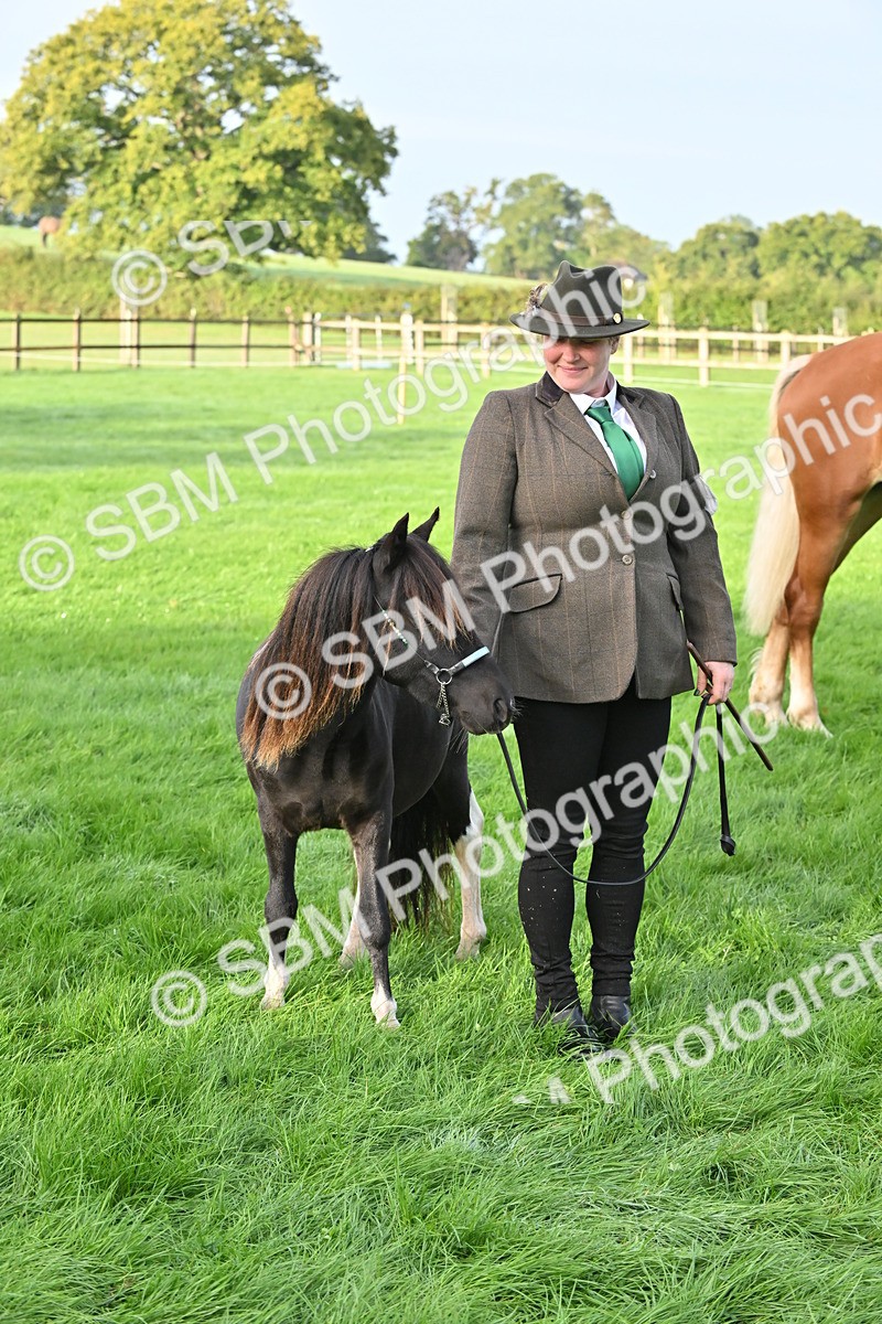 SBM_55358 - S44 - Youngstock In Hand