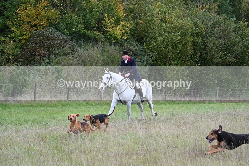 WJ7_3562 - Camera 1 Line 1