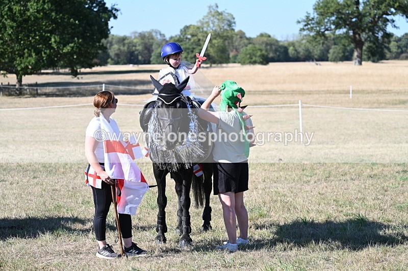 WJ7_2704 - Class 45 Fancy Dress (My Fav)