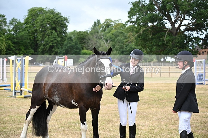 WJ6_4468 - Class 10 Coloured In-hand