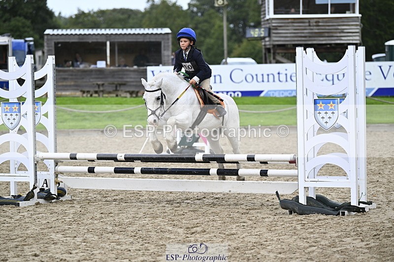 251005A-120626-03604 - Cls 08 Mini 70-75cm