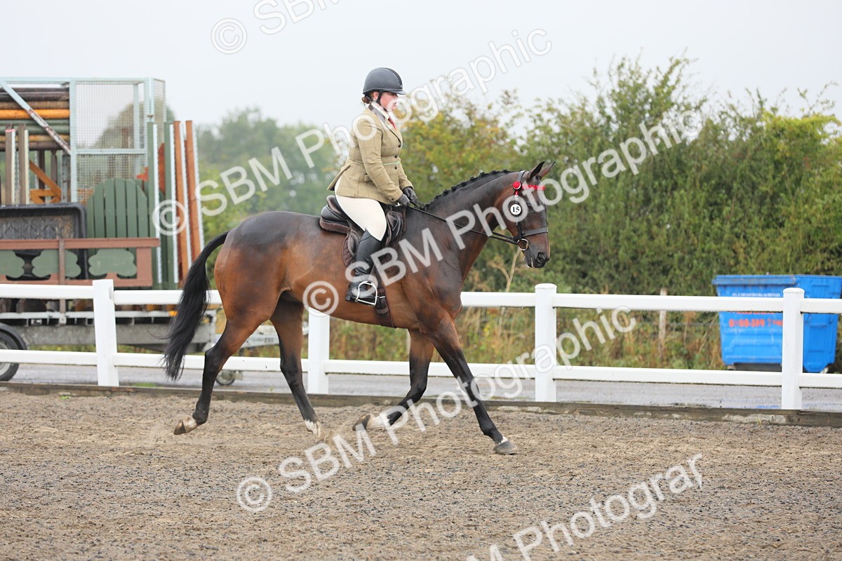 SBM_21237 - Class 805 - Ridden Veteran Horse