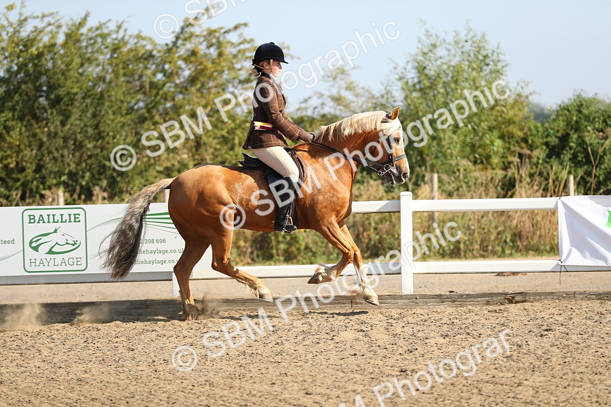 SBM_01265 - Class 42 Ridden Veteran