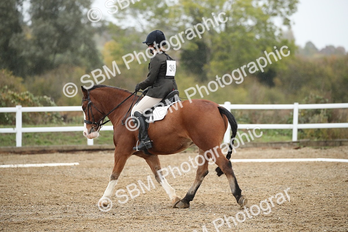 SBM_001377 - Prelim A-PYO