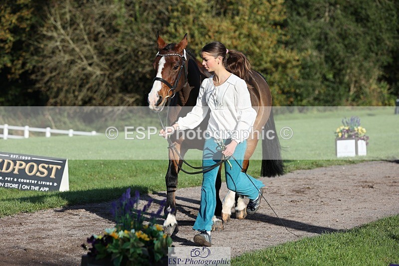 241027-091930-15211 - 375-Erin.Brown-50.SHADES.OF.BAY