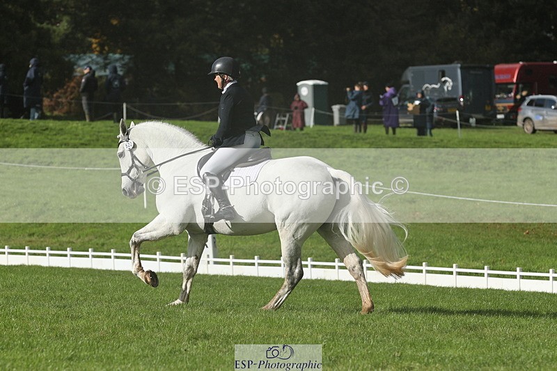 251023A-143835-05003 - G-522-Sue.Parkes Inc Trot Up