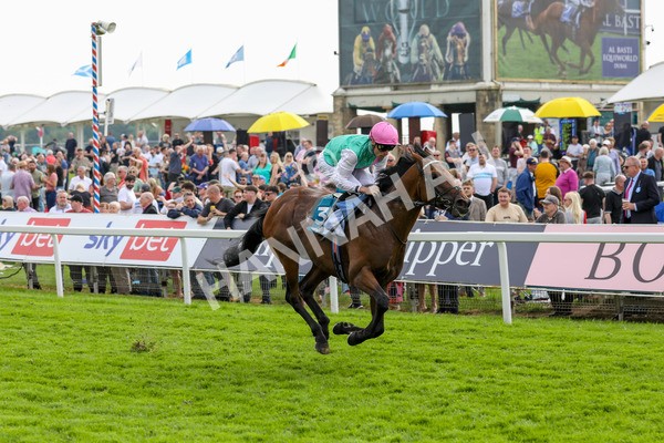 170524-Race 5-Lead Artist-2247 - Race 5 4.15pm  Darley EBF Novice Stakes