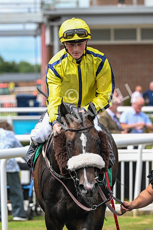010726-Race 3-North Force-8202 - Race 3 14.08pm British EBF Novice Stakes