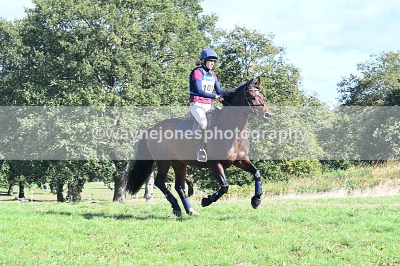 WJ7_9549 - Time 10:47 to 11:01