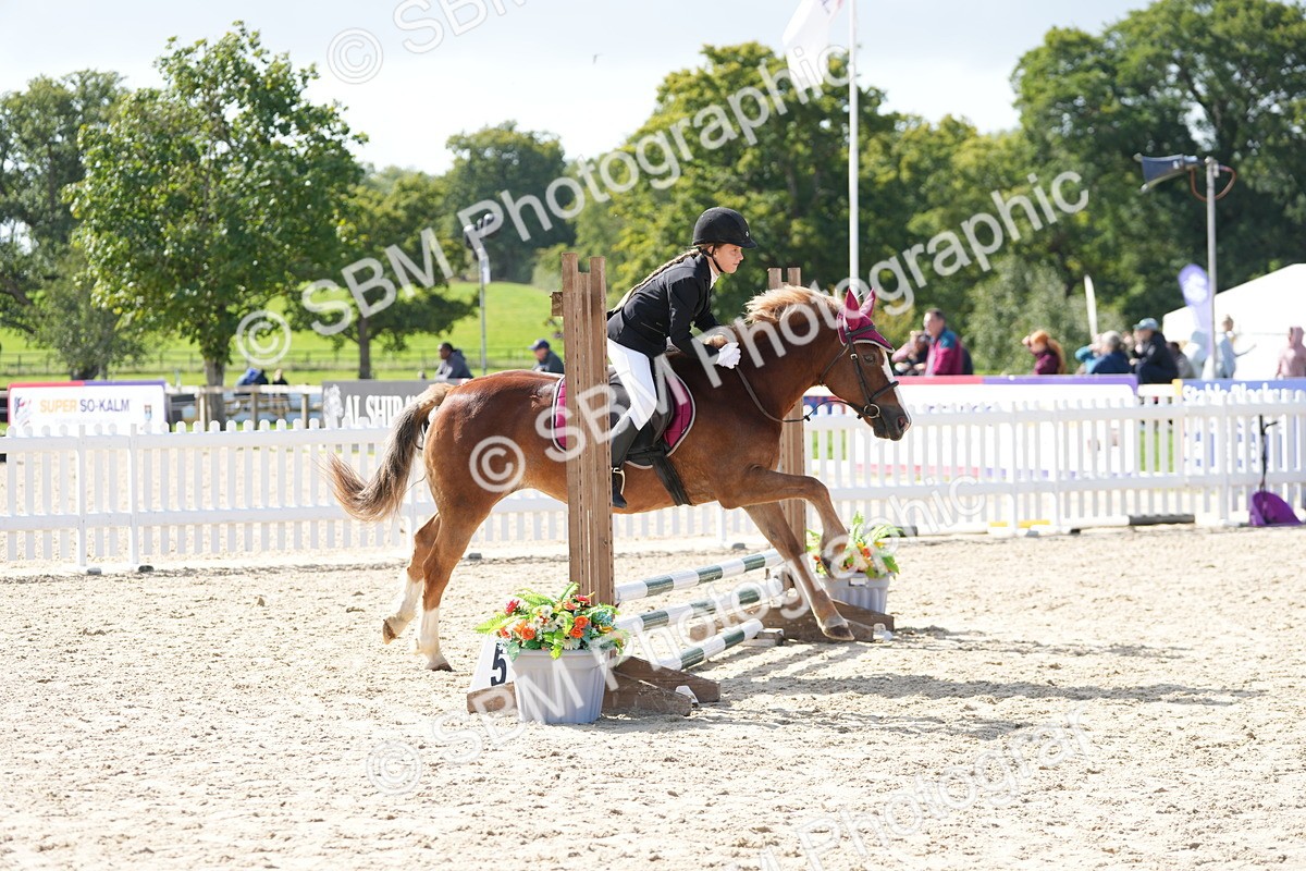 SBM_18001 - J58 - Clear Round 50cm