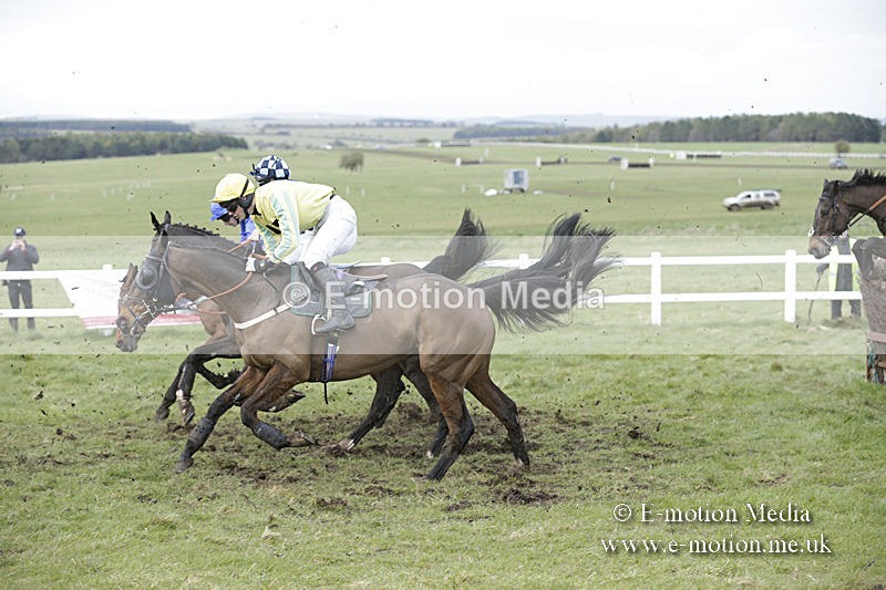 PtP 150320 0684 - New Forest Point-to-Point Larkhill 15/03/20
