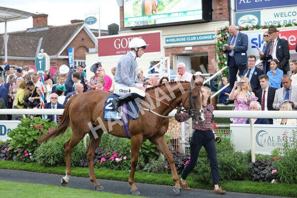 yr18082022r7-15 - Race 7 5.20pm British Stallion Studs EBF Fillies' Stakes