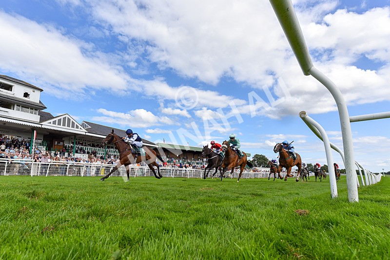 060824-Race 4-One Of Our Own-2-2 - Race 4