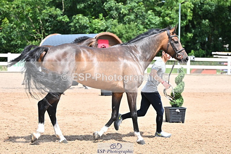 240718A-105302-01478 - Trot Up 12pm to 1pm