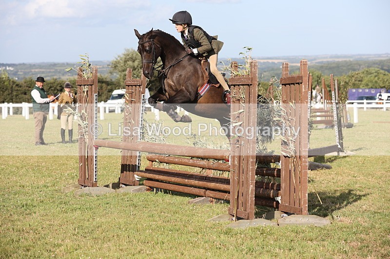 JPP_3244 - Class 21: Working Hunter 80cm