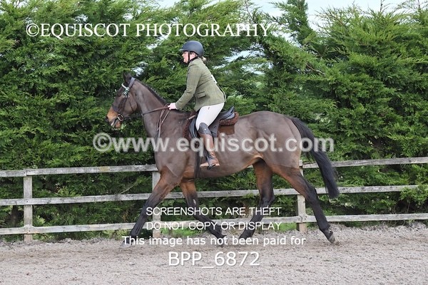 BPP_6872 - RING 1  (RIDDEN HORSES / IN HAND / VETERAN ETC)