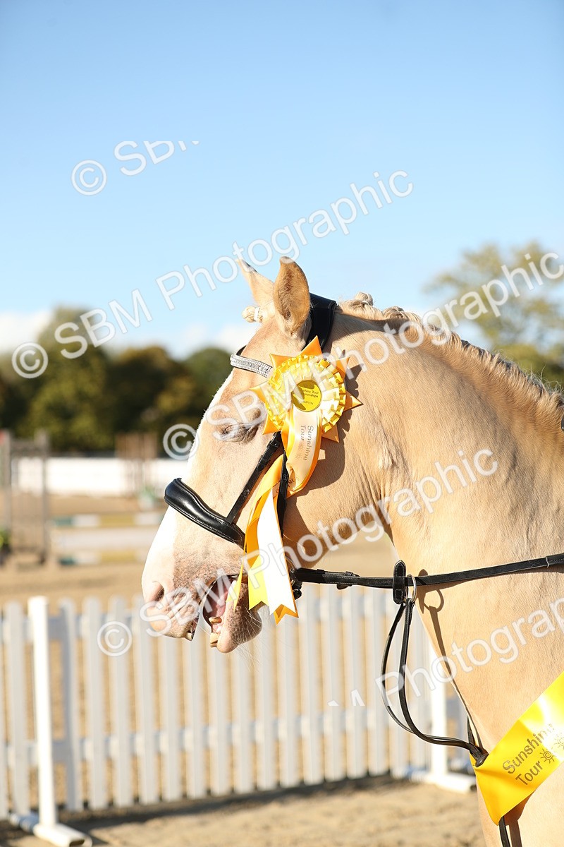 SBM_11497 - J37 - Veteran Rider 75cm