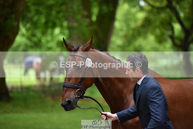 240522-163510-01024 - 213-GLOBAL_KARINA-Hector_Payne