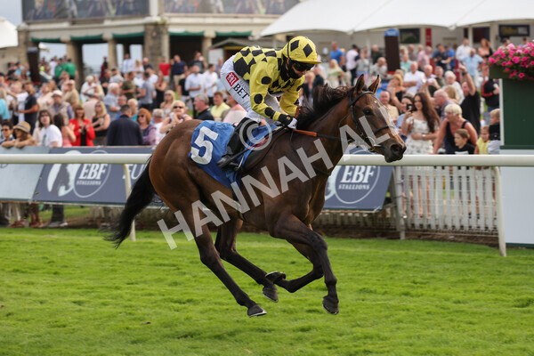 yr23072021r3-27 - Race 3 7.00pm The JKH 80th Birthday Celebration EBF Novice Median Auction Stakes (Plus 10 Race)