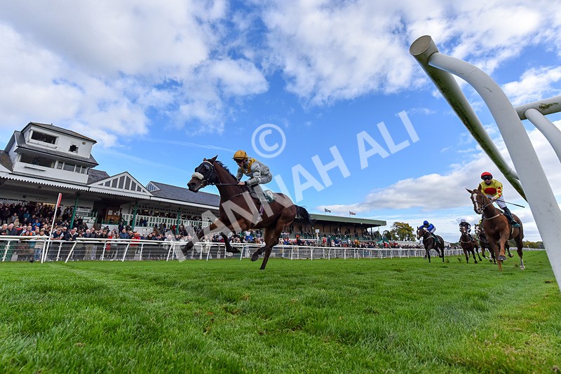171026-Race 3-Hengest-8555 - Race 3 2.10pm Download The Raceday Ready App Handicap