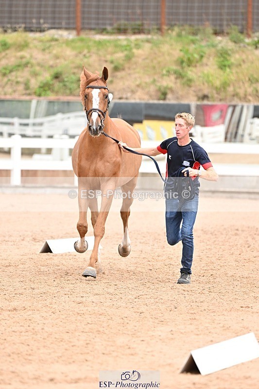 250716-144023-01285 - Trot Up 2.30 to 3.30