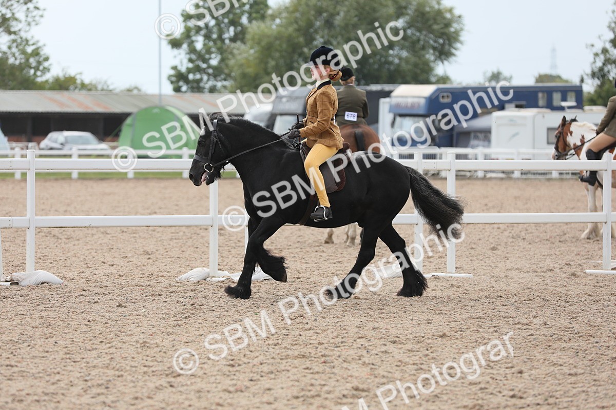 SBM_16938 - Class 314 Family Horse/Pony