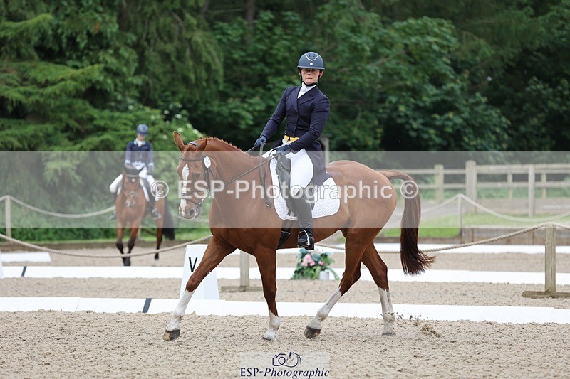 240524-090206-07042 - 251-MILESTONE_GOLD-Gaby_Bull