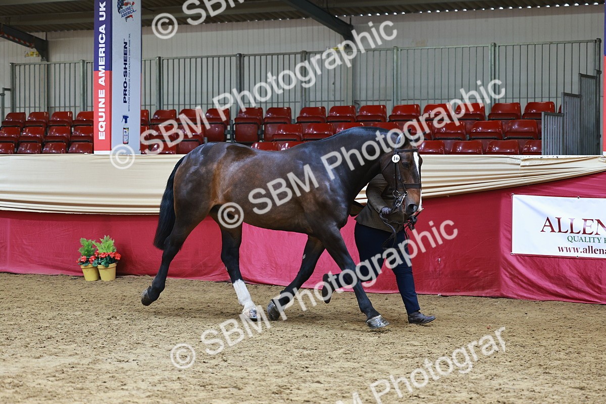 SBM_23185 - Class 903 - Supreme Final - IH Pre Vet