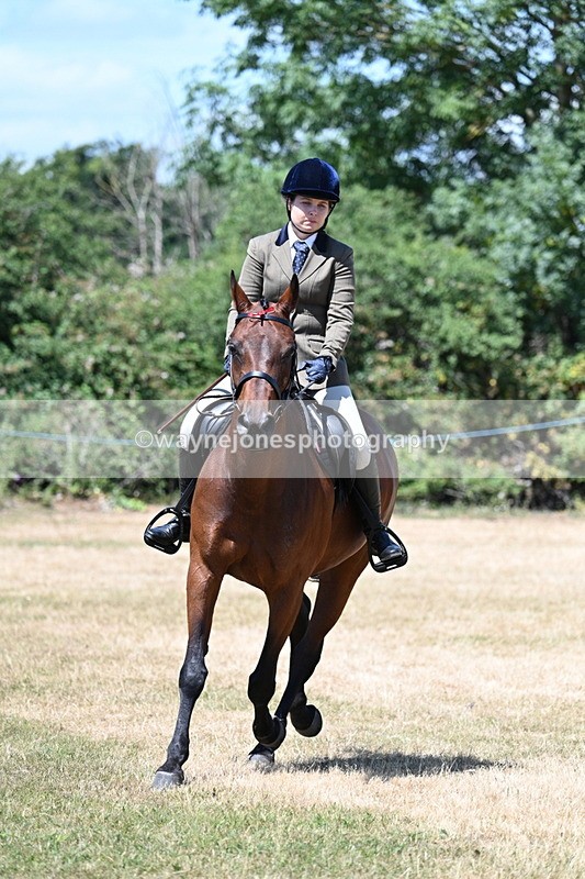 WJ7_3074 - Class 7 Riding Club Show Horse