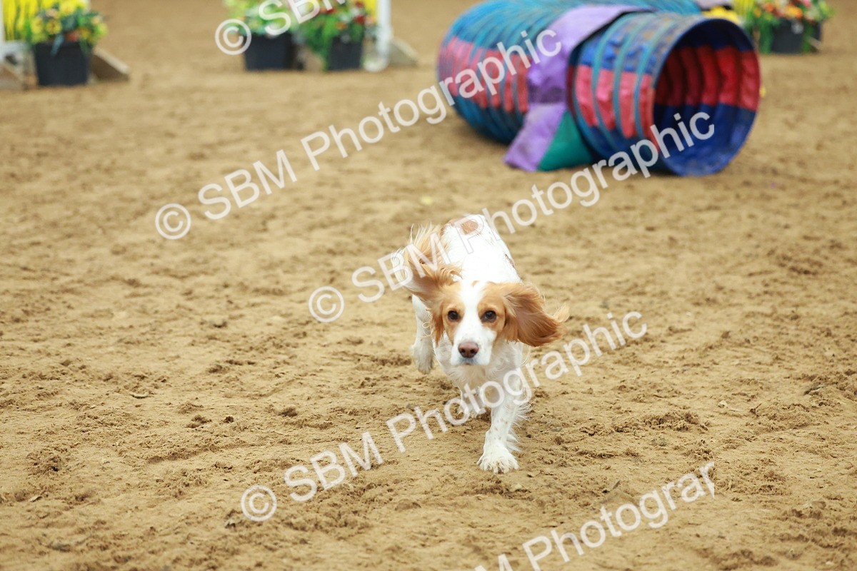 SBM_002533 - Class 3 - Horse & Hound (60cm)