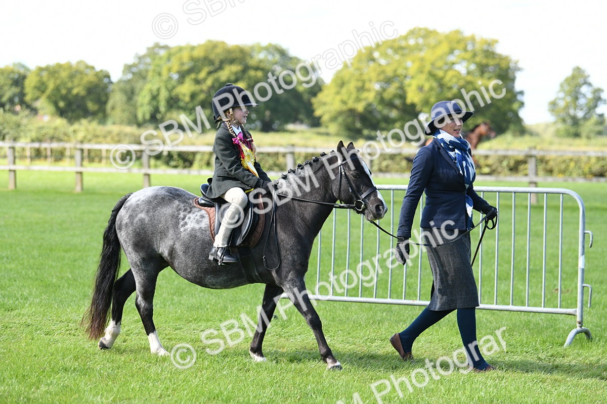 SBM_39727 - S18 - Novice & Newcomers Lead Rein Pony