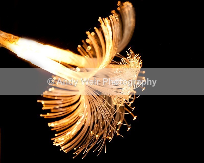 20111227-_MG_8531-763 - Miscellaneous Photographs