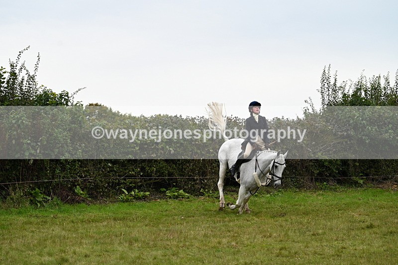 WJ7_4081 - Camera 1 Line 2