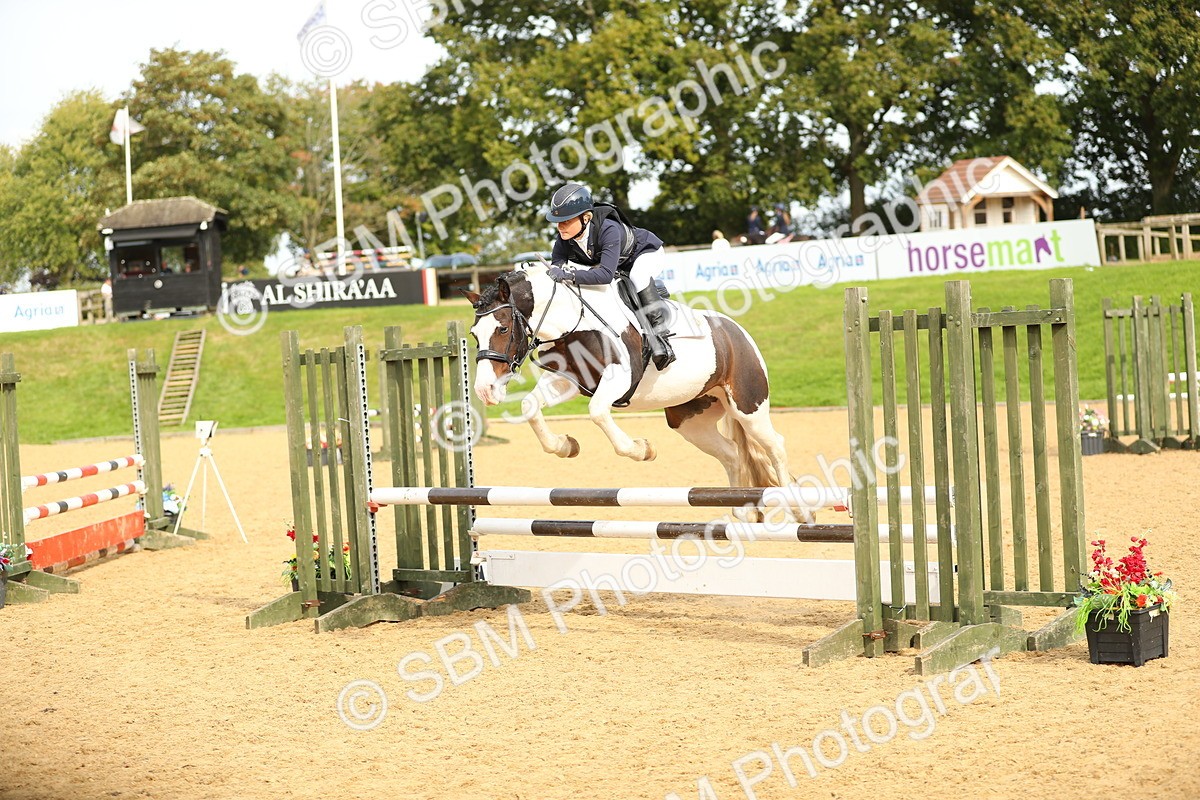 SBM_70240 - J18 - Junior Pony 85cm Championship