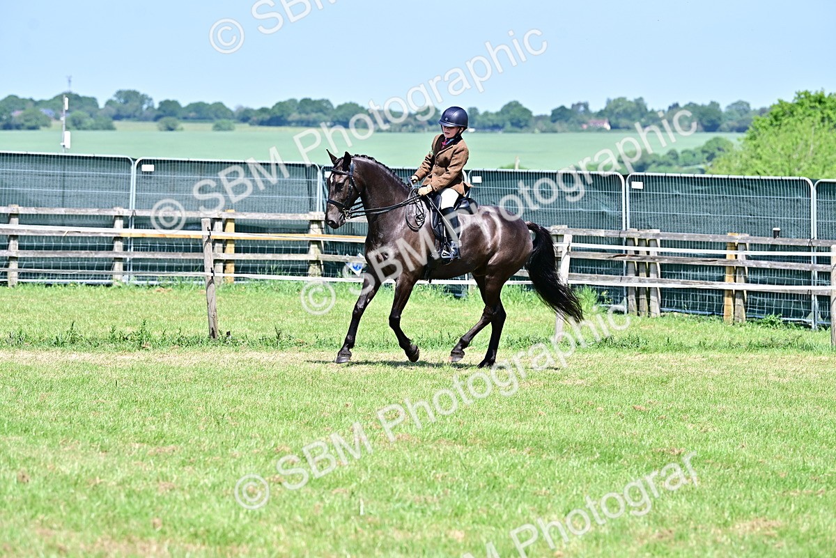 SBM_15394 - Class 95-97 - BSPS LHS Performance Ponies