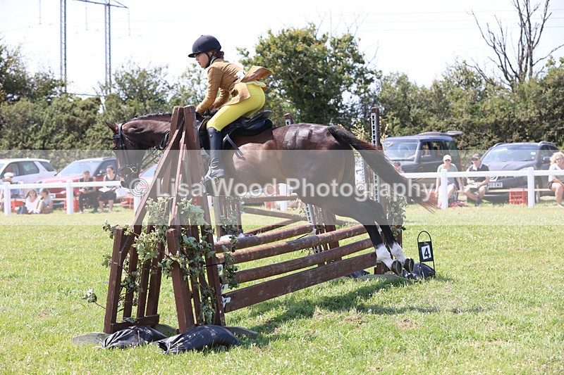 JPP_3056 - Class 22: Working Hunter 70cm
