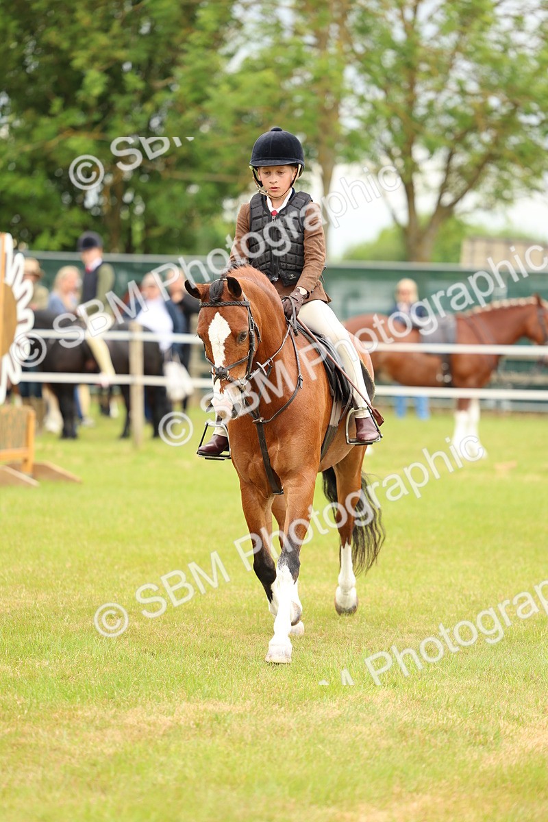 SBM_10224 - Class 44-45 - LIHS BSPS Open Nursery and Cradle Stakes