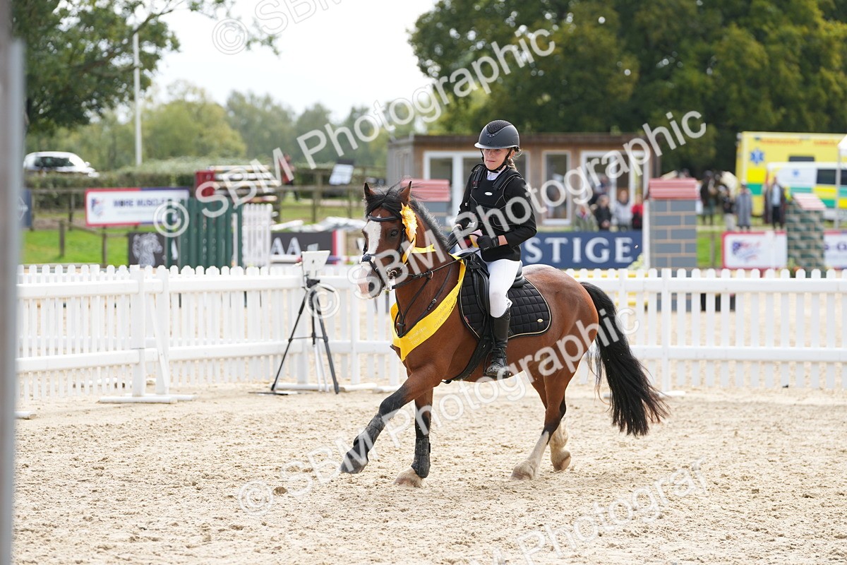 SBM_40096 - J6 - Junior Pony 55cm Championship