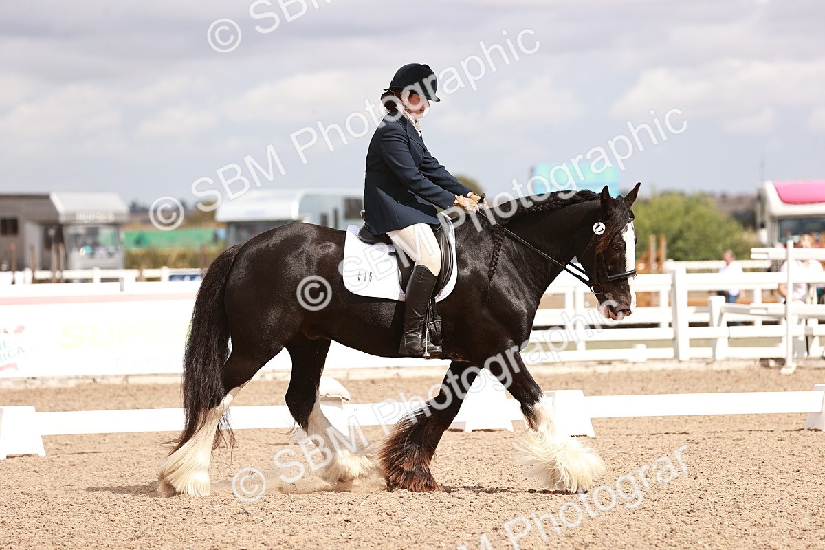 SBM_06209 - Class 37 - Novice 5