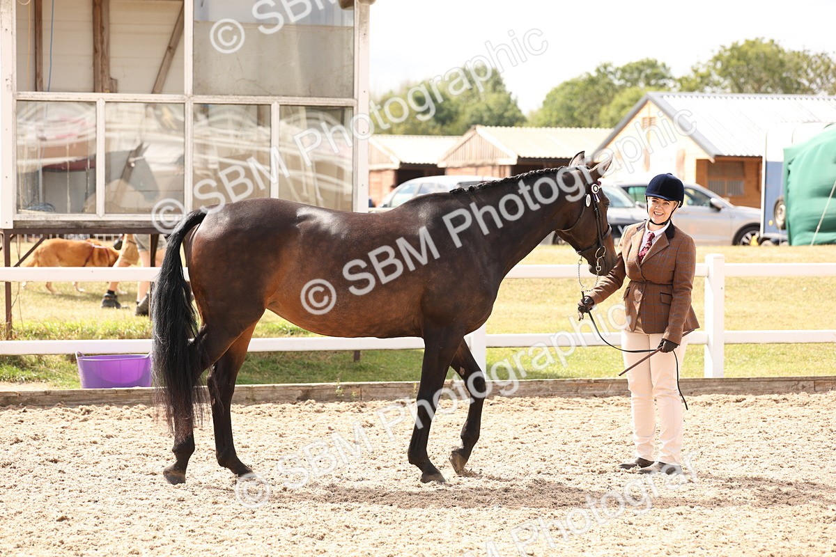SBM_15356 - Class 210- IH Show Horse