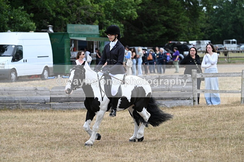 WJ7_7867 - Class 3 Family Mount