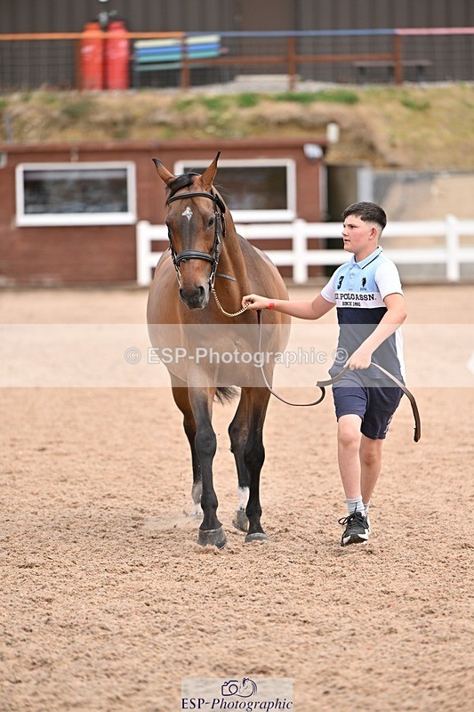 250716-142945-01114 - Trot Up 1.30 to 2.30