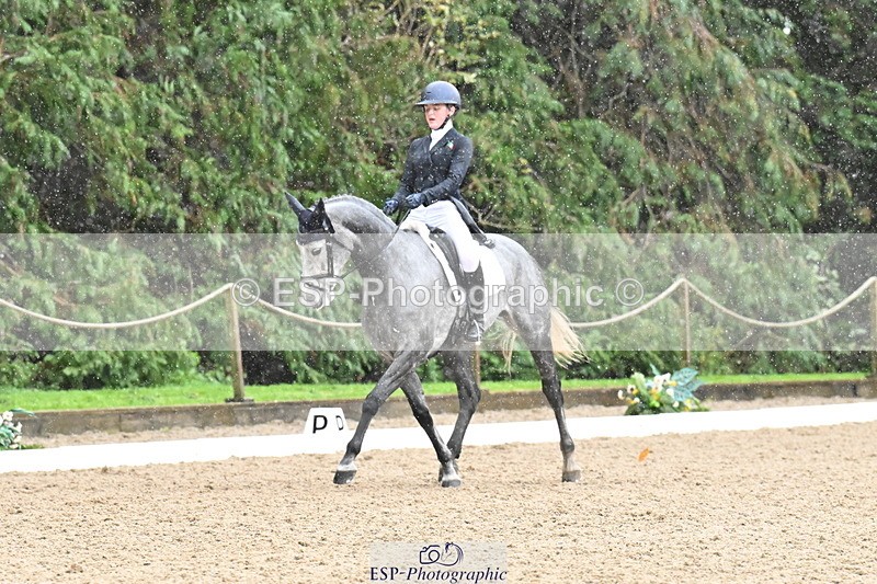 251023A-121811-01890 - C-234-Ava.Dowley