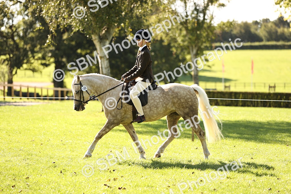 SBM_19083 - S3 - TSR Ridden Pony Showing